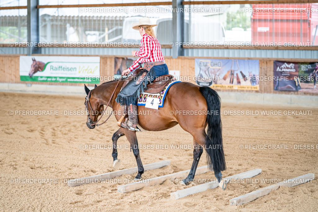 DSC08785 | Pferdegrafie