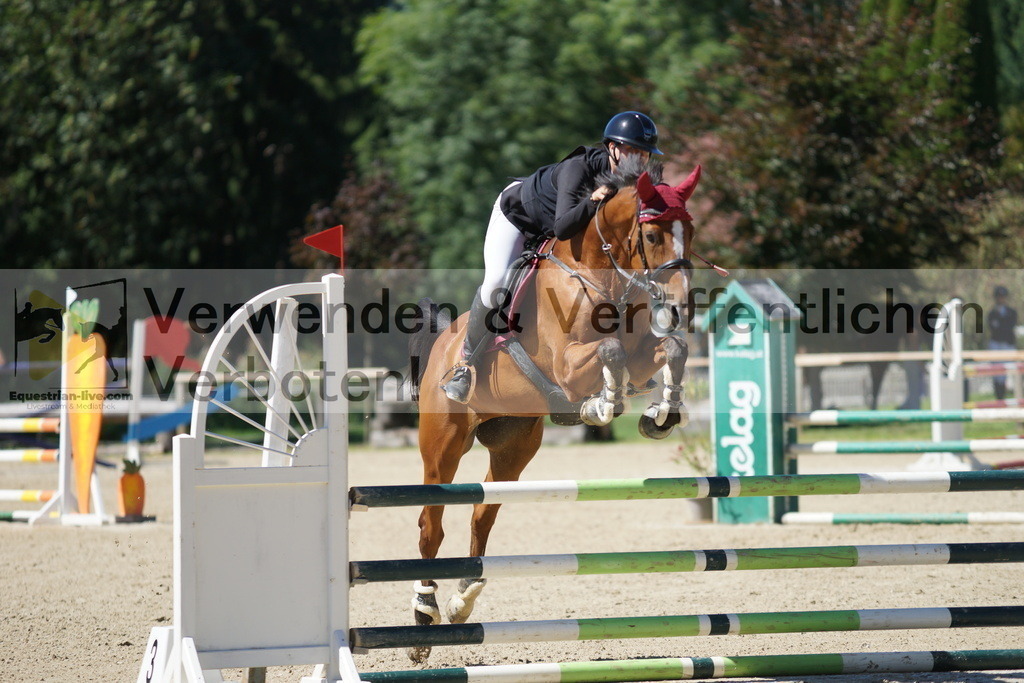 DSC07559 | equestrian-live-com