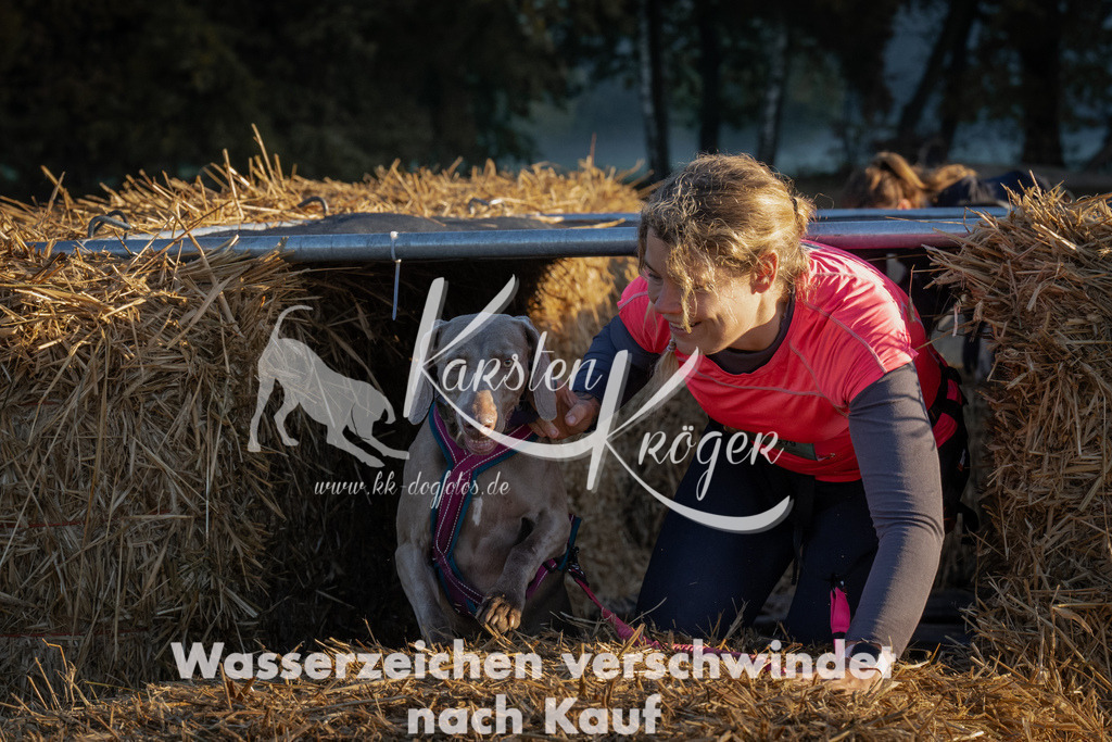 0907_ZZ91429 | kk-dogfotos