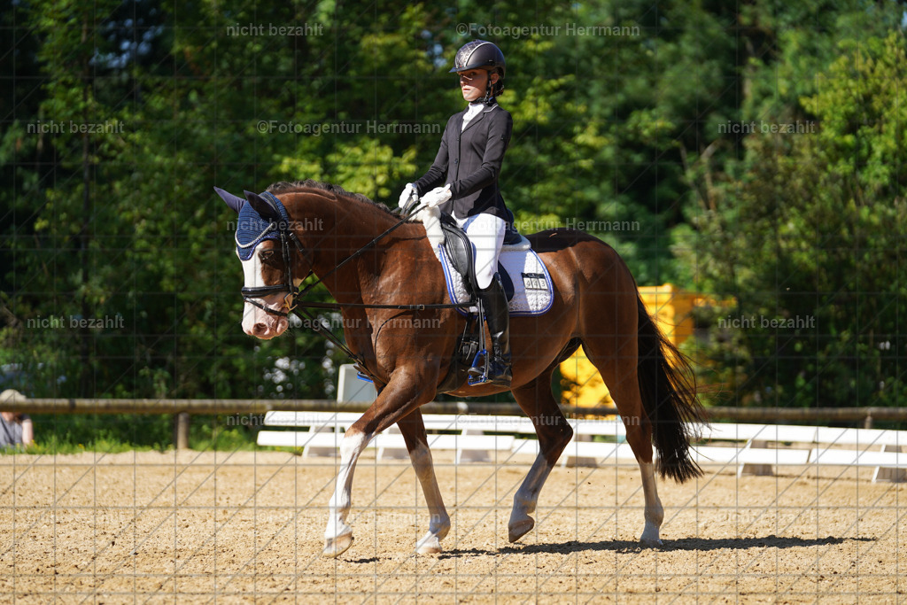 20240706-FAH04712 | Grafing Turnierfotos, Reitverein Ebersberg, Turnierfotografen Bayern, reitsportbilder, Pferdefotograf, reitsportfotograf, Sportbilder, Reitsportfotografie, Fotoagentur Herrmann, Turnierfotograf