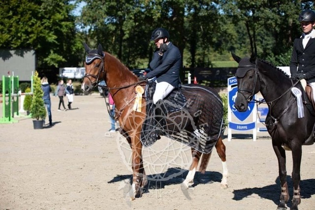 2B4A0524 | pixelfaenger - Realisiert mit Pictrs.com