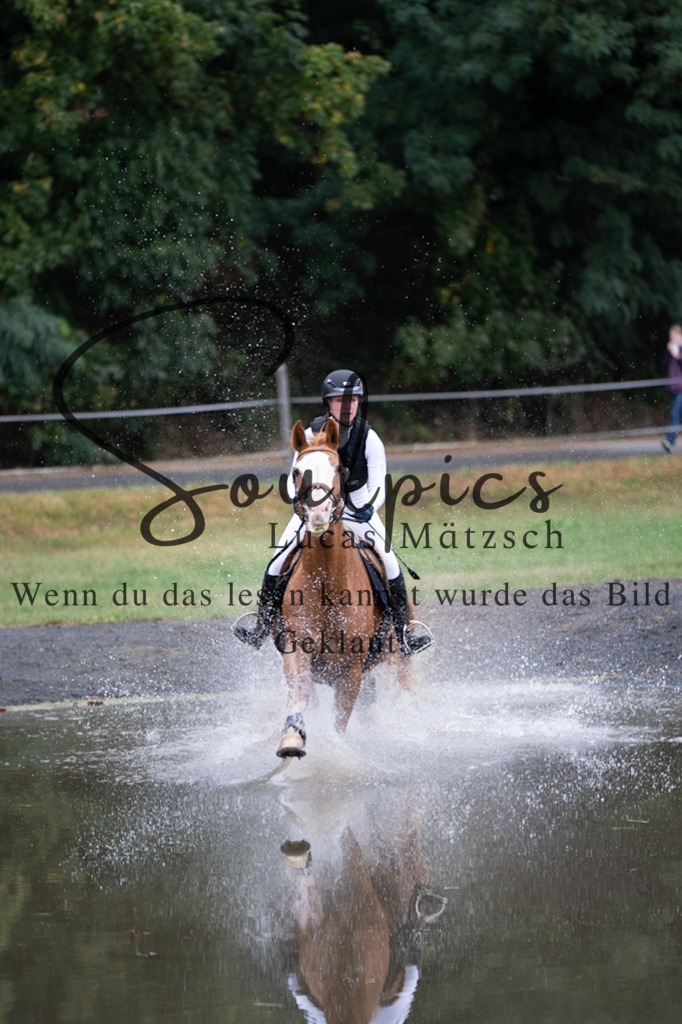 A7V00177 | Pferdefotograf