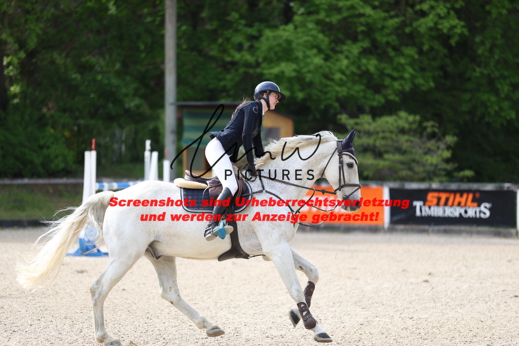 A40A5338 | lmwpictures - Realisiert mit Pictrs.com