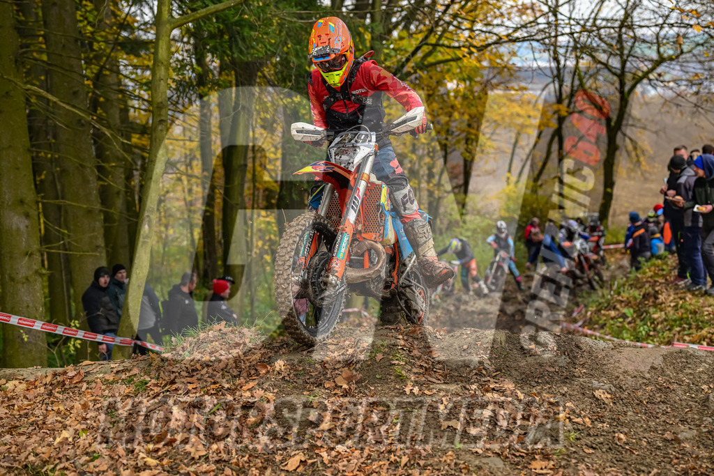 NZ8_6818 | grenznic640