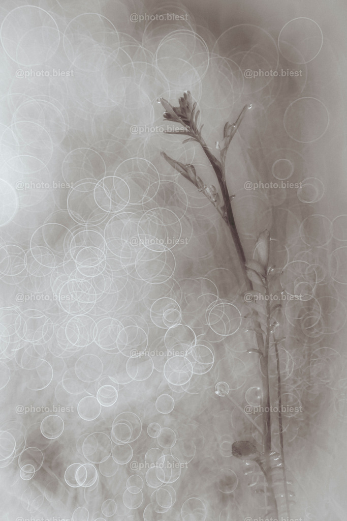 IMGC1406 | photobiest - Realisiert mit Pictrs.com