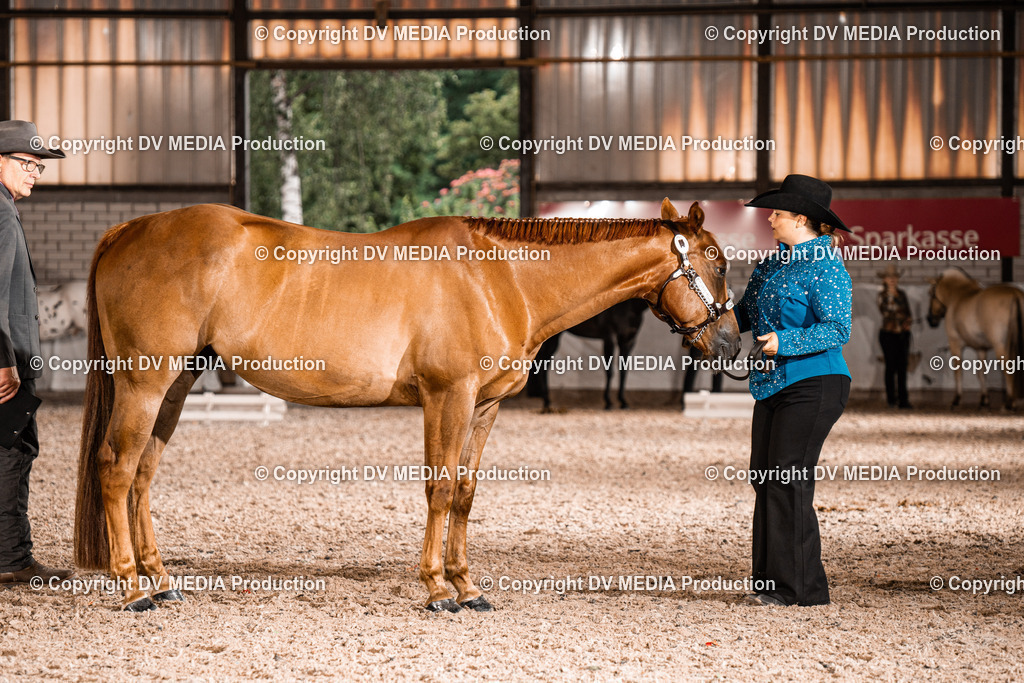 ZH200146 | dv-media-shop - Realisiert mit Pictrs.com