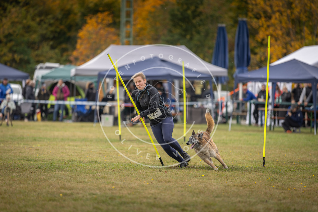 Pfotenfotografie_DV3A6912 | Hundefotografie, Tierfotograf, Pfotenfotografie, Fotoshooting Hund, Hunde Portrait, Hundesport, Hundeportraits, Heideshooting, Hunde, Sportfotograf, Hundefotograf, Turnierhundsport, THS,  - Realisiert mit Pictrs.com