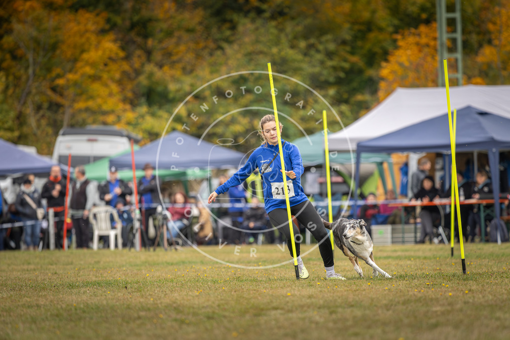 Pfotenfotografie_DV3A3391 | Hundefotografie, Tierfotograf, Pfotenfotografie, Fotoshooting Hund, Hunde Portrait, Hundesport, Hundeportraits, Heideshooting, Hunde, Sportfotograf, Hundefotograf, Turnierhundsport, THS,  - Realisiert mit Pictrs.com