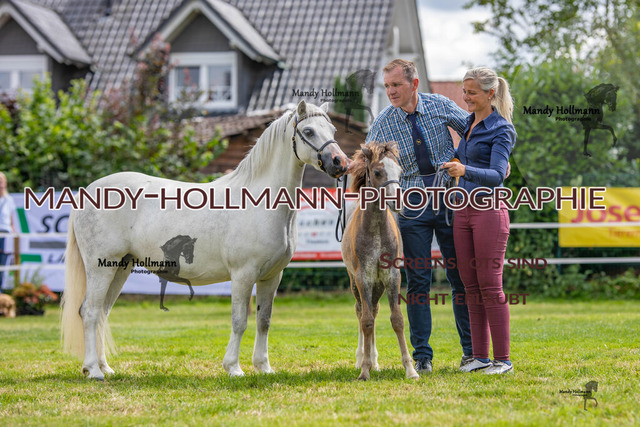 IG WELSH VM 2024-439 | mandyhollmannphotographie