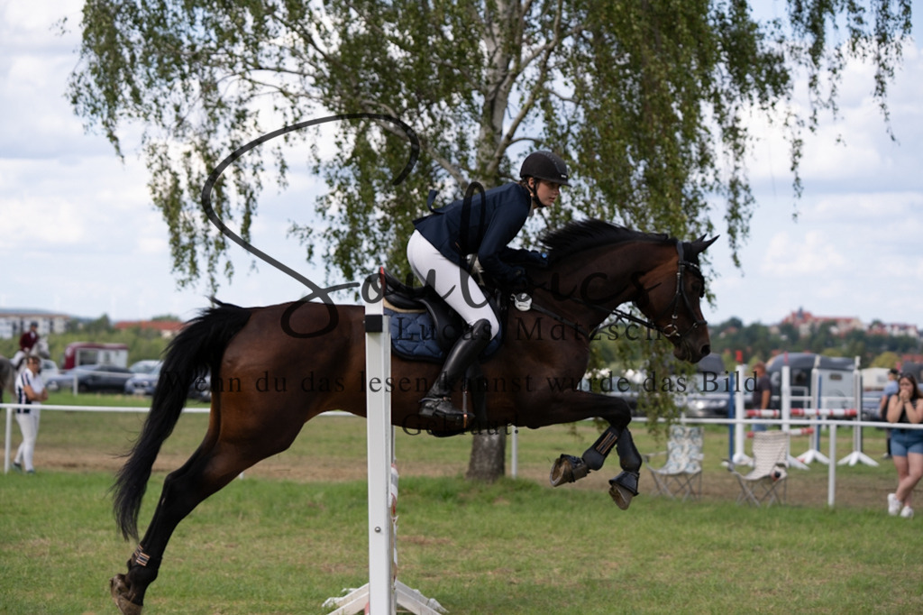 A7V04824 | Turnier/Reitfotograf