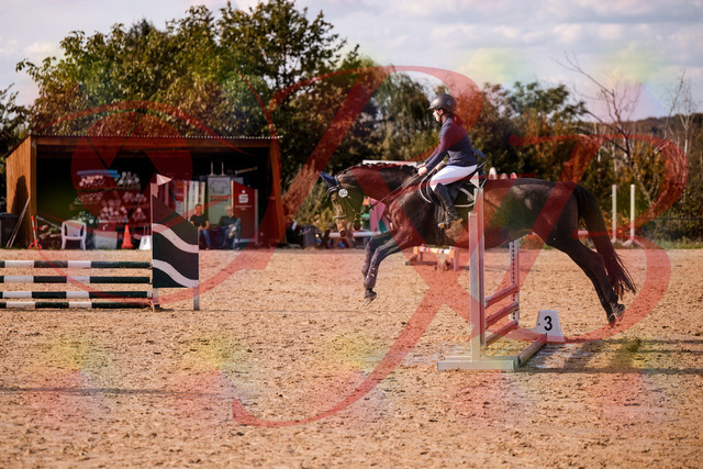 2026_10_03_Siefer-Hof_160107_Z81_81792245 | Professionelle Reitsport-, Turnier- und Eventfotografie von Robert Broda. Galerien mit ausgewählten und bearbeiteten Bildern direkt online ansehen und bestellen.
