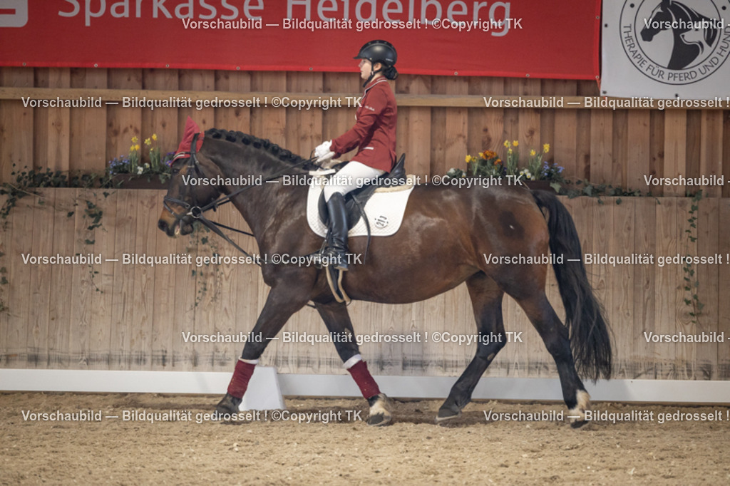 _D5A5613 | Emotionale Pferde- & People-Fotografie rund um Heidelberg, Leimen & Umgebung. Natürliche Fotos von Pferd, Mensch & Familie. Jetzt Termin sichern!