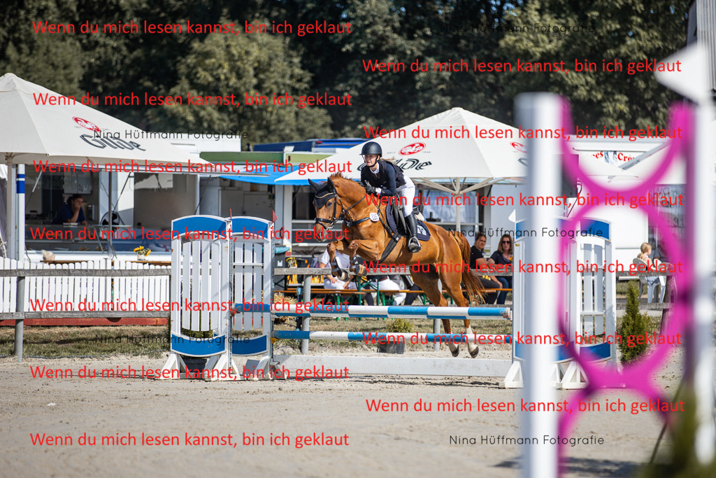BK1A7019 | Turnierbilder Turnierfotos Nina Hüffmann Turnierfotografie Pferdefotografie Tierzeichnung Haustierzeichnung Pferdezeichnung Hundezeichnung Videograf  - Realisiert mit Pictrs.com