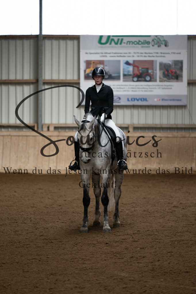 A7V04823 | Pferdefotograf