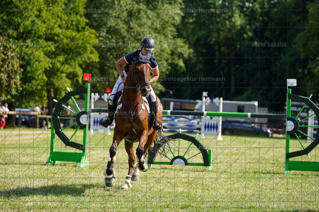 20230701-FAH02291 | Reitturnier Grafing, 2023, Grafing-Aiterndorf, Spribgturnier, Dressurturnier, Bilder, Qualifikation Nürnberger Burgpokal, Fotoagentur Herrmann, Turnierfotografen Bayern, Turnierbilder Bayern, Reitrsportfoto