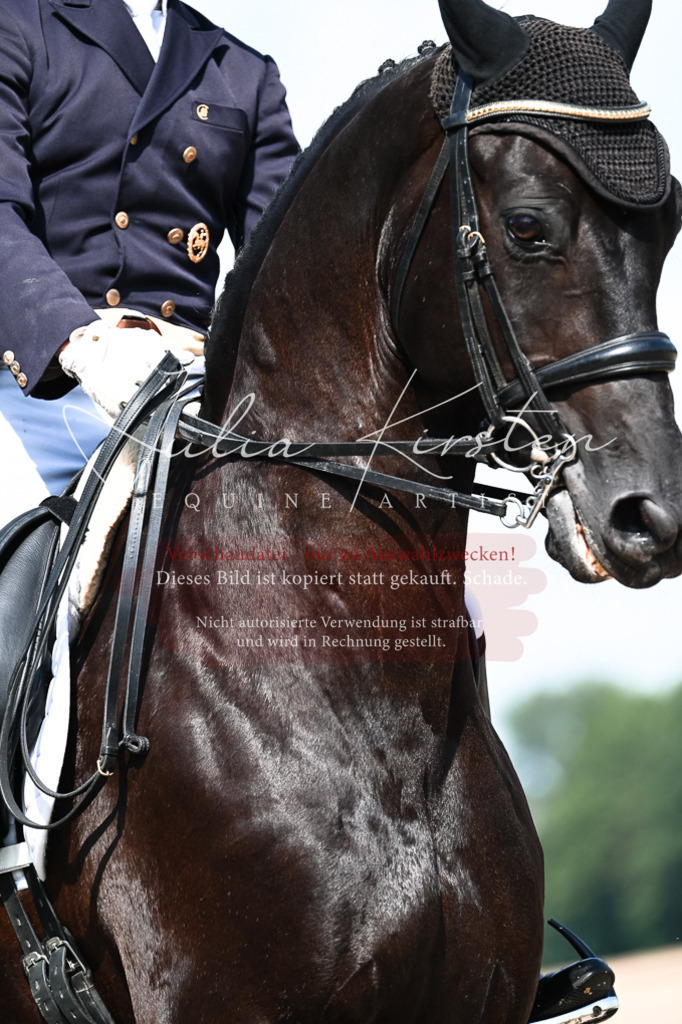 DSC_3014 | Pferde- und Turnierfotografie in Westsachsen. Pferdeportraits, Auftragszeichnungen und intuitive Kunst.