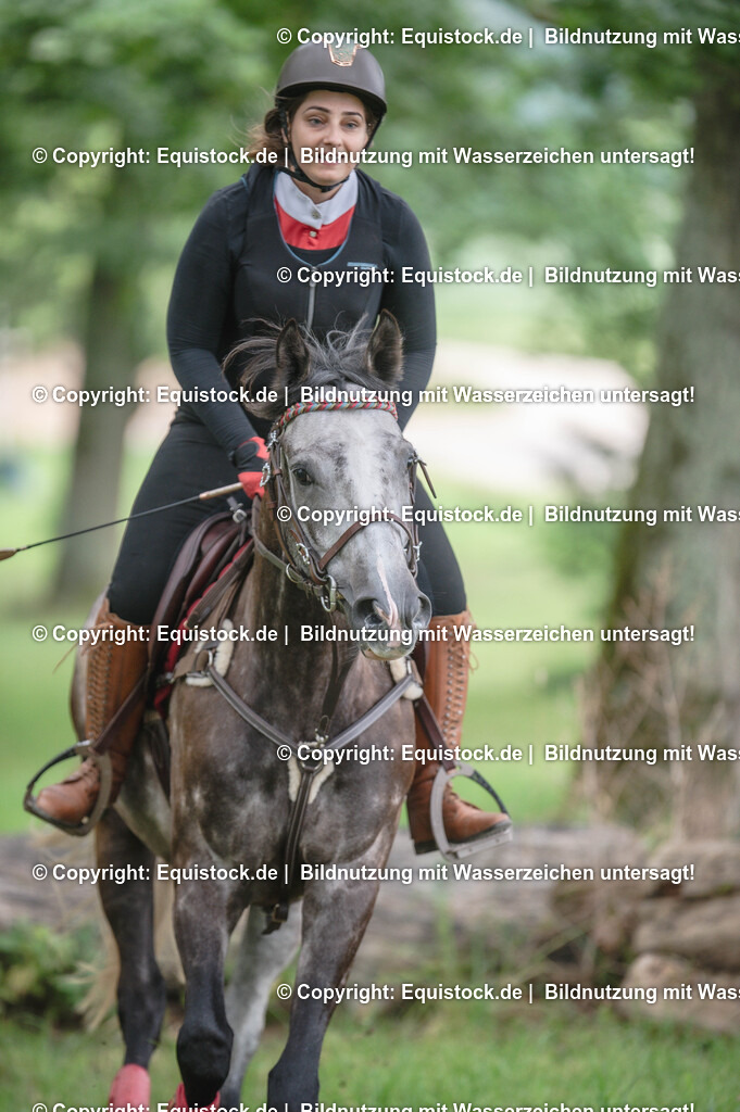 20250726_Vielseitigkeitslehrgang-Marbach_0195 | Foto: Thomas Hartig