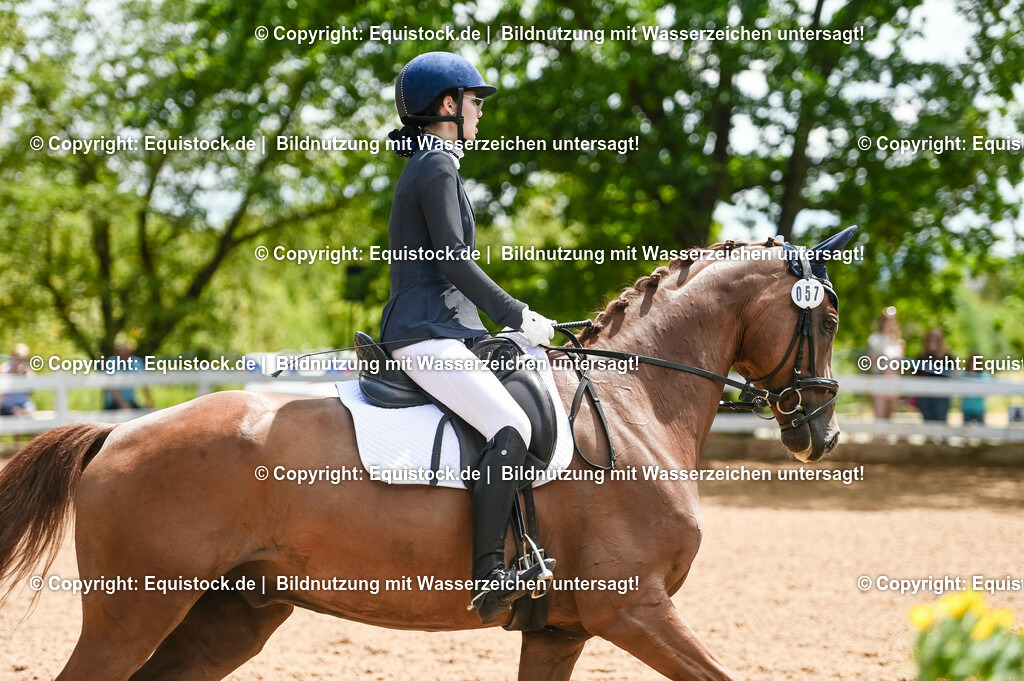 20230716_03_Dressurprfg. Kl.L - Tr._0308 | equistock