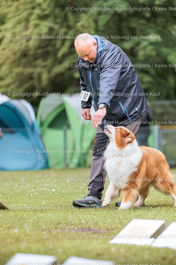 RO-Blumenthal-2026-Nickbest-Hundefotografie-3764 | Dein Hund! Dein Moment! Deine Erinnerungen! Hundefotografie in Bremen Blumenthal. Ich fange die besonderen Momente deines Vierbeiners ein – ob Indoor mit Blitzanlage oder in der freien Natur. Sicher dir dein Moment und dein Termin für eure Erinnerungen.