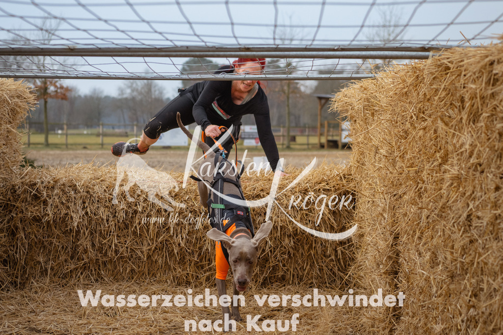 0817_ZZ92329 | kk-dogfotos