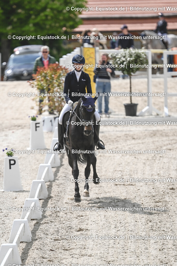 20250516_CCI2_Dressur_0464 | Foto: Thomas Hartig