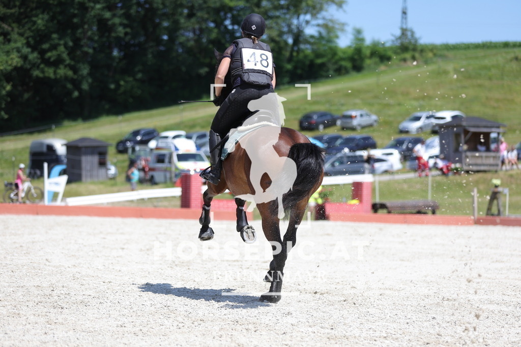 0P6A4249 | Willkommen bei Brunnmayr - Design & Fotografie – Ihrem Spezialisten für Reitturniere und Pferdeveranstaltungen in Oberösterreich, Salzburg und Bayern! Seit über 17 Jahren sind wir leidenschaftlich dabei.
