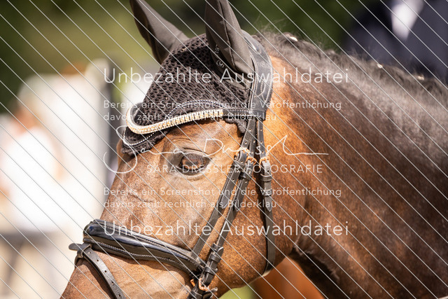 SD_OES26_02554 | saradresslerfotografie - Realisiert mit Pictrs.com