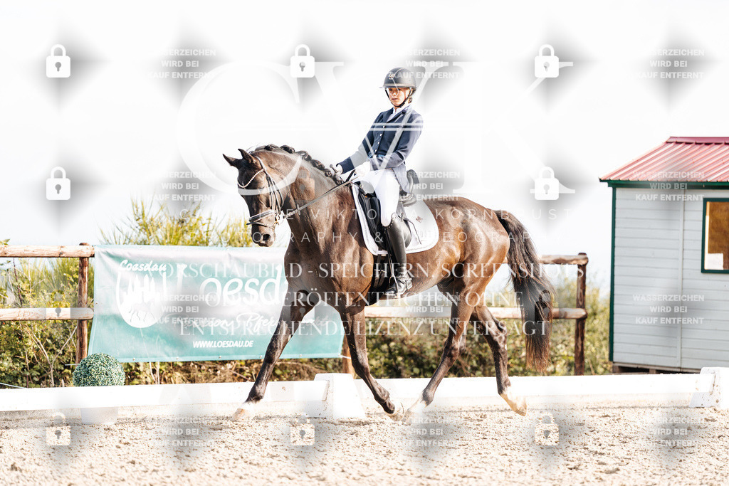 CK901130 | Turnierfotografie Pferdefotografie Trier Rheinland-Pfalz Pferdesport Reitsport Tierfotografie Sportfotografie Pferdevideo Pferdevideografie Equestrianvideography equestrianphotography  - Realisiert mit Pictrs.com