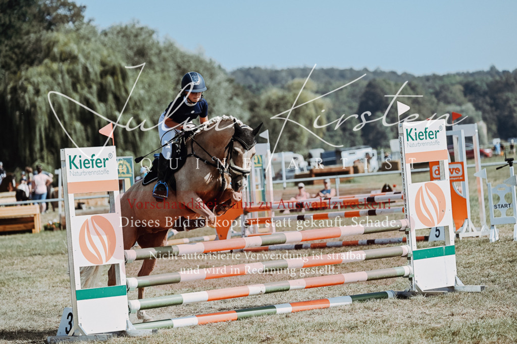 DSC_9336 | Pferde- und Turnierfotografie in Westsachsen. Pferdeportraits, Auftragszeichnungen und intuitive Kunst.