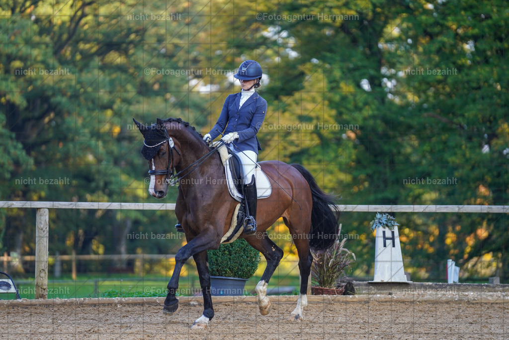 20221007-FAH00475 | Diessen am Ammersee, 2022, Dressur- und Springturnier, Reitsportbilder, Turnierfotografen Bayern, Pferdefotografen, Fotoagentur Herrmann, Turnierbilder