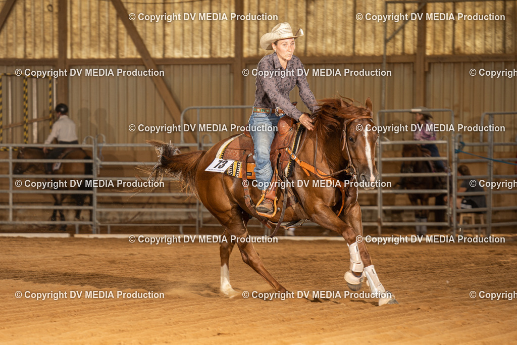 NID02282 | dv-media-shop - Realisiert mit Pictrs.com