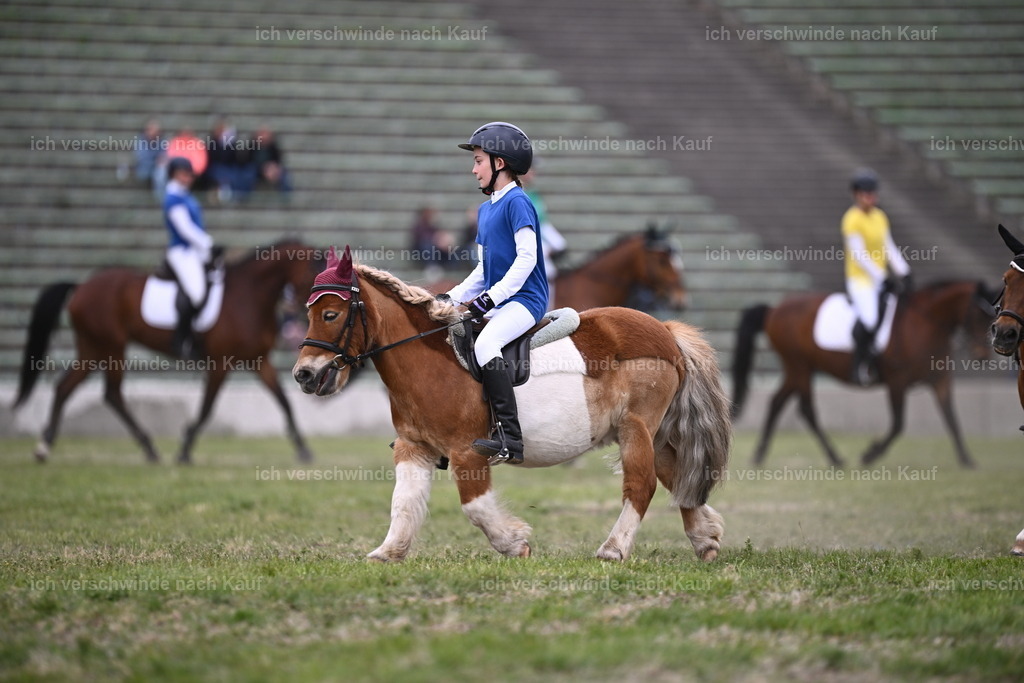 PI26_Show_Sara_Landvogt_226_1622.JPG | working equitationturnier fotograf videograf stoibphotography marixx film working equitation deutschland reitsport turnierfotografie eventfotografie equestrian events