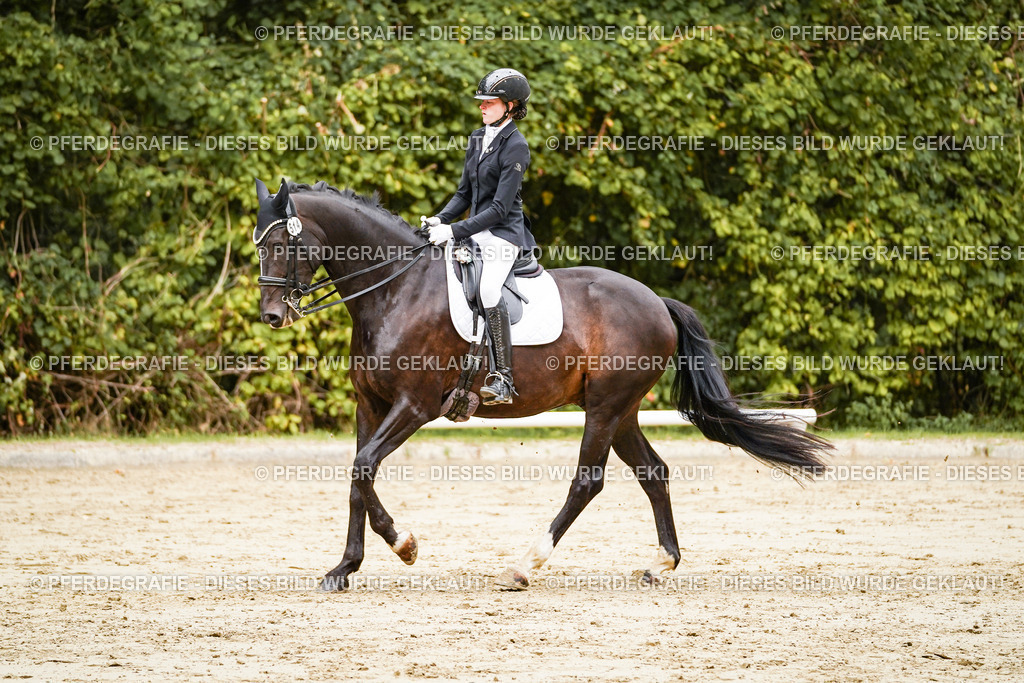 DSC03843 | Pferdegrafie