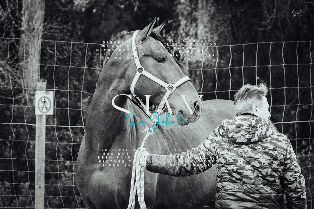 IMG_2380-Verbessert-RR-2 | s-jay-photography - Realisiert mit Pictrs.com