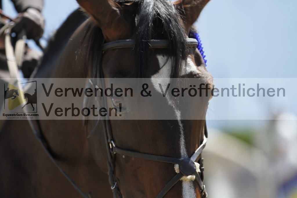 _MG_1002 | equestrian-live-com