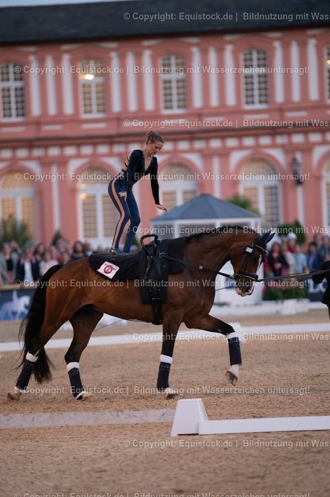 20230527_Voltigieren_NASPA_Flutlicht_0275 | equistock