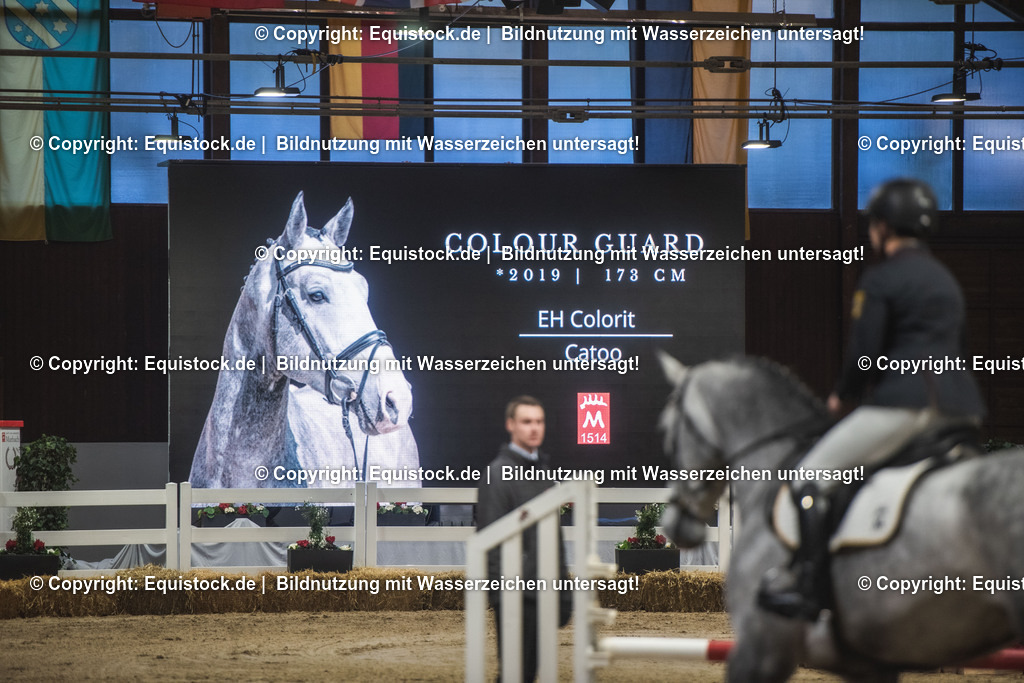 20240302_Hengstvorstellung_Marbach_TOMsPiC_0305 | equistock