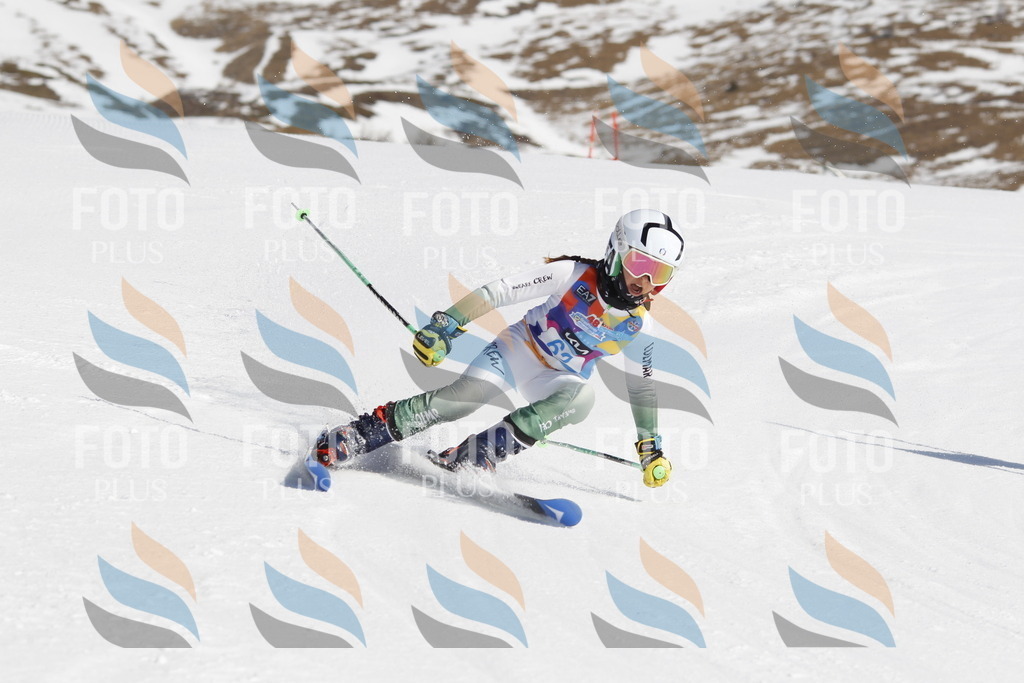 _U3G9657 | holidayphoto