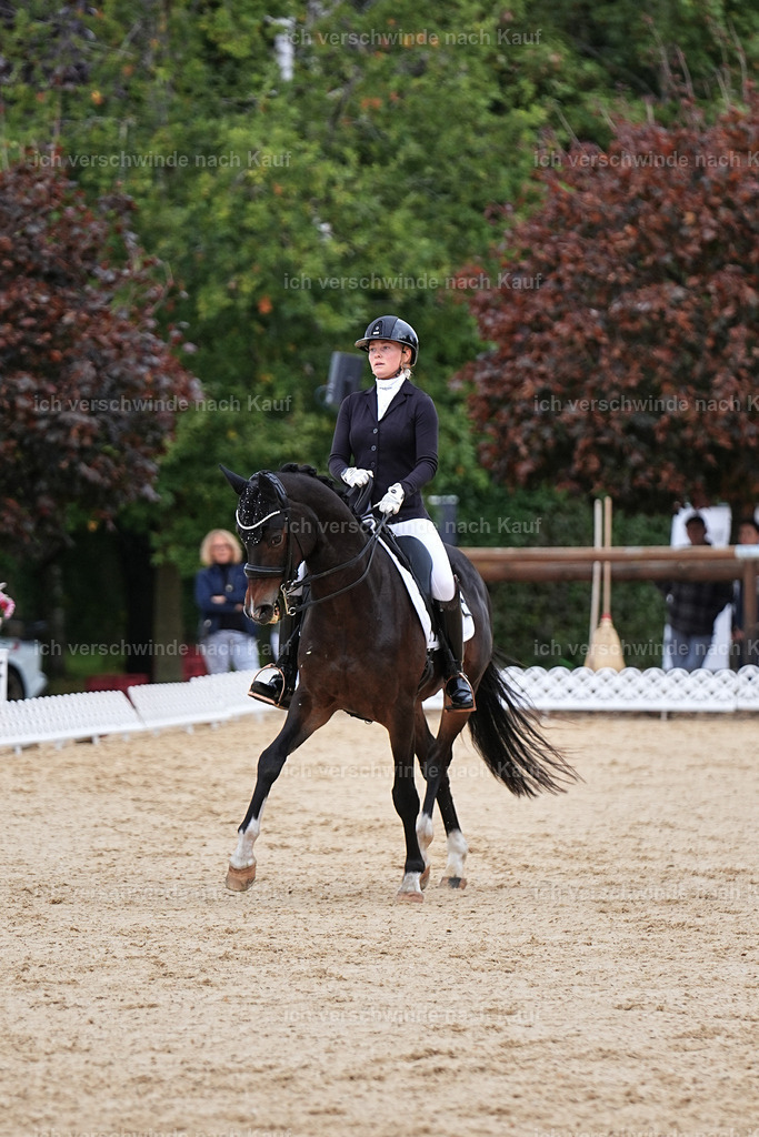 3-104-Dressur M_-Marixx-1963 | working equitationturnier fotograf videograf stoibphotography marixx film working equitation deutschland reitsport turnierfotografie eventfotografie equestrian events