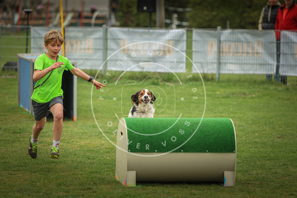 Pfotenfotografie_0L8A1725 | Hundefotografie, Tierfotograf, Pfotenfotografie, Fotoshooting Hund, Hunde Portrait, Hundesport, Hundeportraits, Heideshooting, Hunde, Sportfotograf, Hundefotograf, Turnierhundsport, THS,  - Realisiert mit Pictrs.com