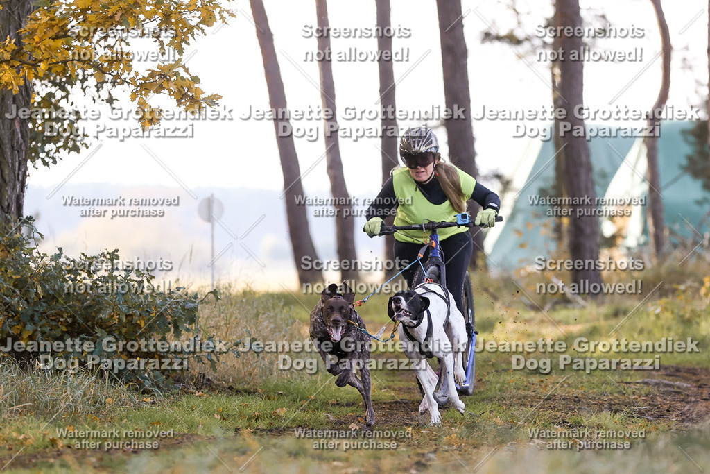 Dog Paparazzi - Elsholz 25 -56 | Dog Paparazzi Jeanette Grottendiek Fotografie & Videografie - Realisiert mit Pictrs.com