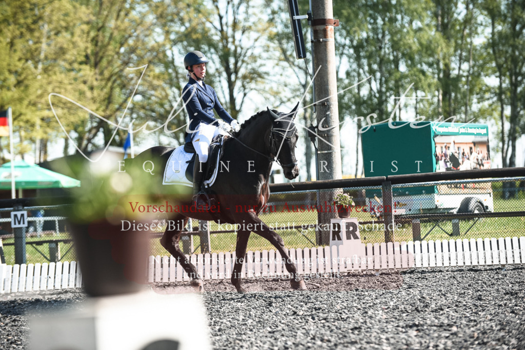 DSC_8569 | Pferde- und Turnierfotografie in Westsachsen. Pferdeportraits, Auftragszeichnungen und intuitive Kunst.