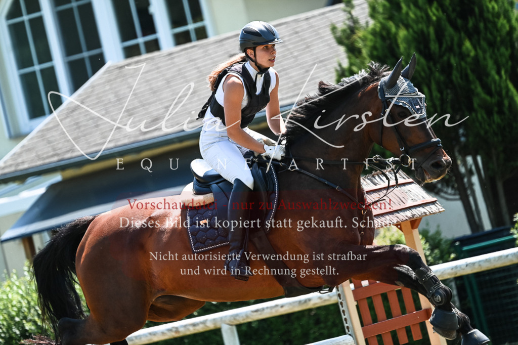 DSC_0244 | Pferde- und Turnierfotografie in Westsachsen. Pferdeportraits, Auftragszeichnungen und intuitive Kunst.