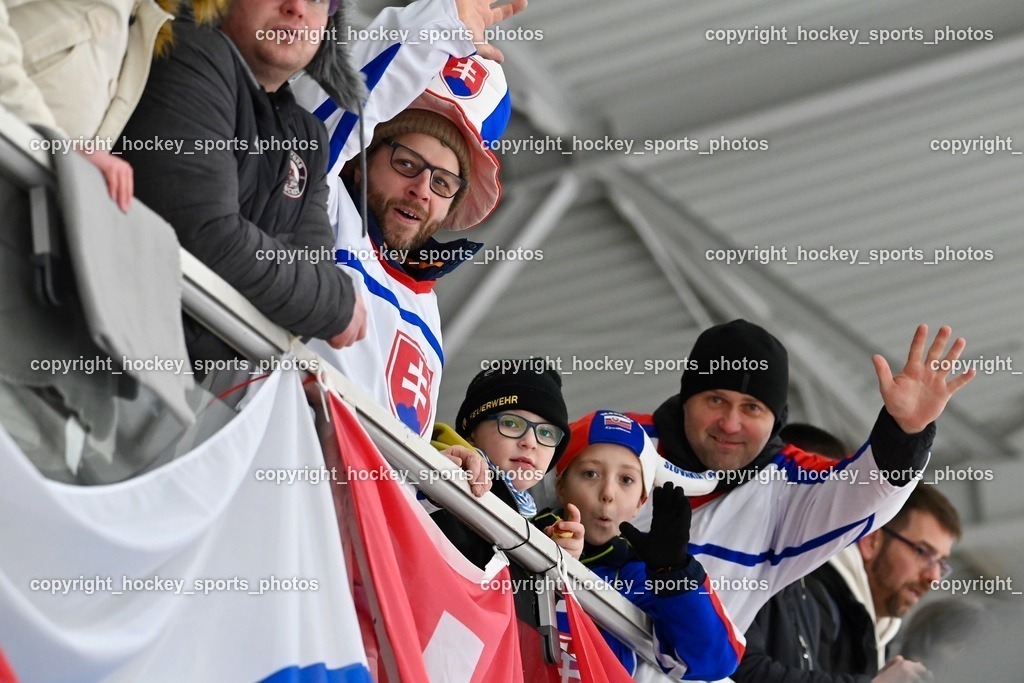 BST_5545 | hockey sports photos, Pressefotos, Sportfotos, hockey247, win 2day icehockeyleague, Handball Austria, Floorball Austria, ÖVV, Kärntner Eishockeyverband, KEHV, KFV, Kärntner Fussballverband, Österreichischer Volleyballverband, Alps Hockey League, ÖFB, 