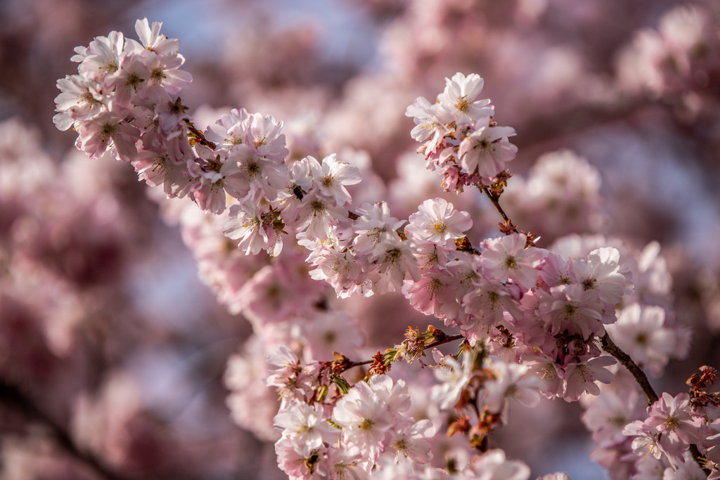 IMG_2130 | ehrlichefotos - Realisiert mit Pictrs.com