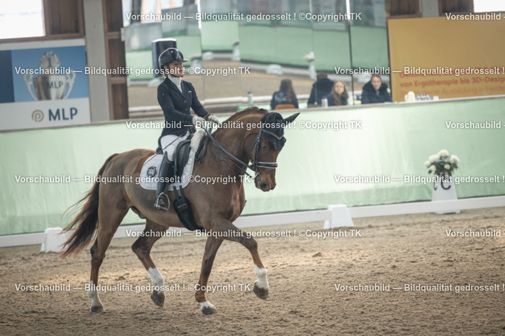 _D5A4170 | Emotionale Pferde- & People-Fotografie rund um Heidelberg, Leimen & Umgebung. Natürliche Fotos von Pferd, Mensch & Familie. Jetzt Termin sichern!