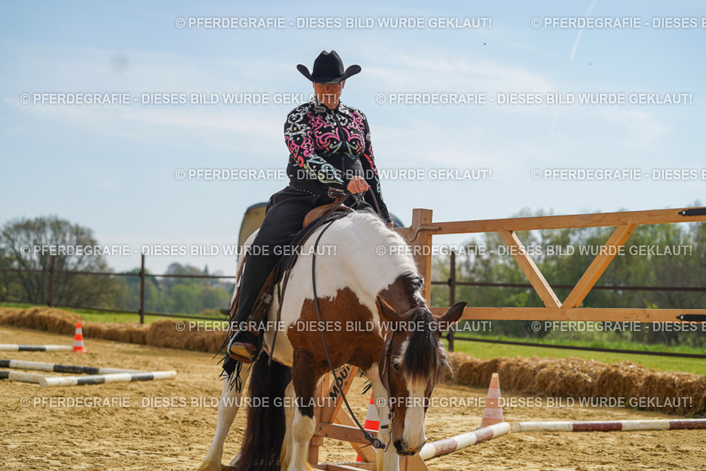 DSC02092 | Pferdegrafie