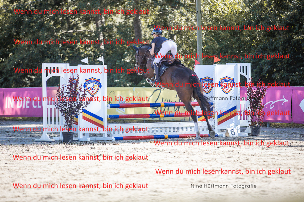 BK1A7257 | Turnierbilder Turnierfotos Nina Hüffmann Turnierfotografie Pferdefotografie Tierzeichnung Haustierzeichnung Pferdezeichnung Hundezeichnung Videograf  - Realisiert mit Pictrs.com