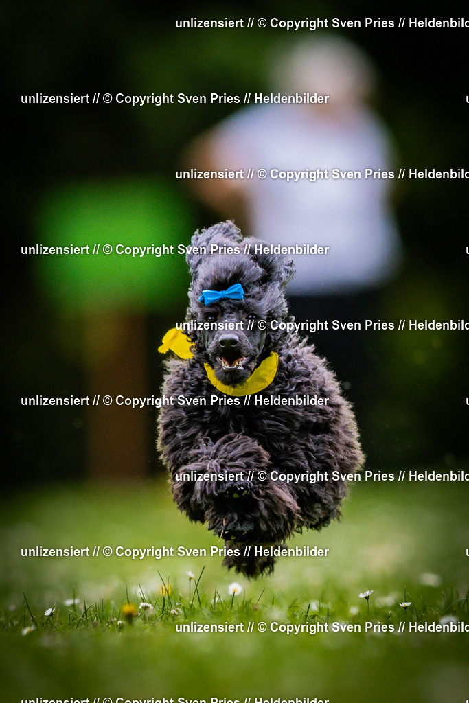 Sven Pries | 2025-05-29 - Pudelrennen KA-Durlach - Realisiert mit Pictrs.com