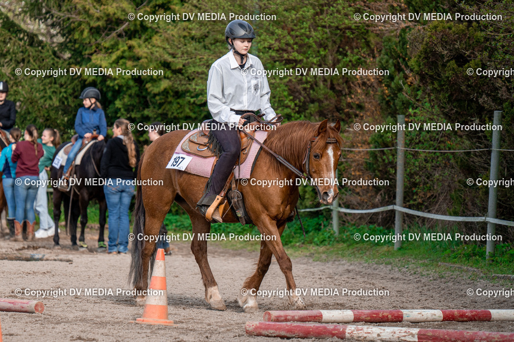 BAL02857 | dv-media-shop - Realisiert mit Pictrs.com